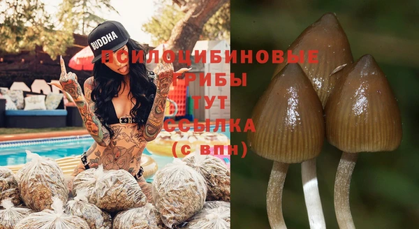 кокаин перу Гусиноозёрск