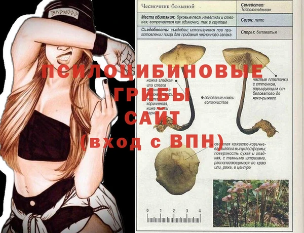 кокаин перу Гусиноозёрск