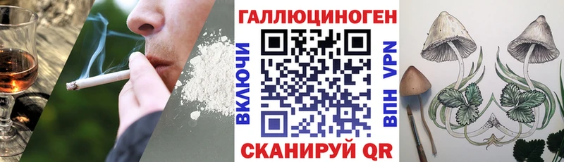 кракен рабочий сайт  Красный Сулин  Псилоцибиновые грибы Psilocybe 